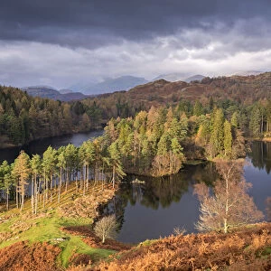 Picturesque Tarn Hows in the Lake District, Cumbria, England. Autumn (November)