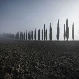 Poggio Covili covered with fog during autumn, Val d Orcia, Tuscany, Italy
