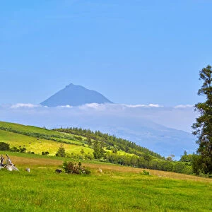 Portugal, Azores, Faial, Landscape of central part of Faial Island with Mount Pico