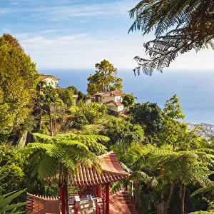 Portugal, Madeira, Funchal, Monte, Monte Palace Tropical Garden, Oriental Gardens
