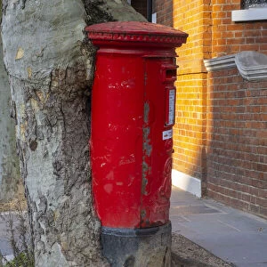 Red postbox and tree, South Kensington, London, England, UK