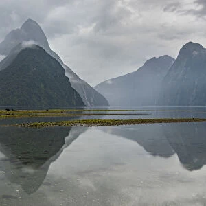 Reflection of Milford Sound on a cloudy summer day. Fiordland NP, Southland district