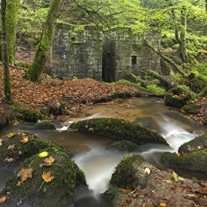 Remains of gunpowder mills at Kennall Vale Nature Reserve in Ponsanooth near Falmouth