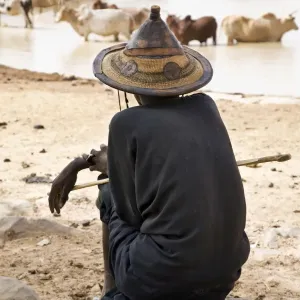 Rights Managed Print: Fulani Herder at Mopti Water Hole Rights Managed Print: Fulani Herder at Mopti Water Hole