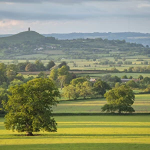 Rural countryside of the Somerset Levels near Glastonbury Tor, Somerset, England