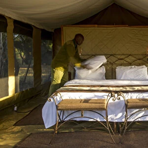 safari camp interior, Masai Mara, Kenya