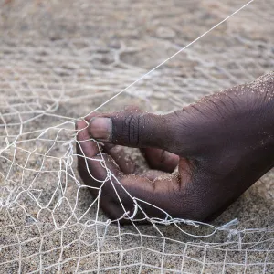 Malawi Collection: Salima