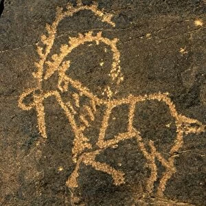 Saudi Arabia, Najran, Bir Hima. One of the countrys most important rock art sites is remote Bir Hima where hundreds of petroglyphs have been incised in cliffs