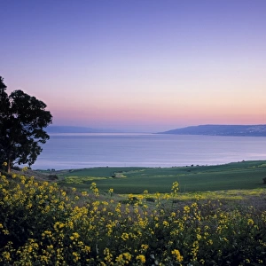 Lakes Canvas Print Collection: Sea of Galilee