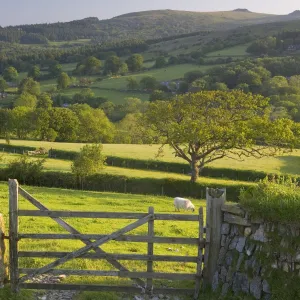 Sheepstor, Dartmoor