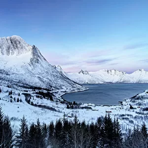 Snowy forest with Breidtinden mountain on background above the icy fjord, Mefjorden, Senja, Troms county, Norway