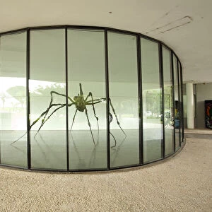 South America, Brazil, Sao Paulo, a Louise Bourgeois Spider at the Museum of Modern Art