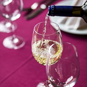 Spain, Costa da Morte, Vedra. A glass of Albarino at the Pazo de Galegos winery