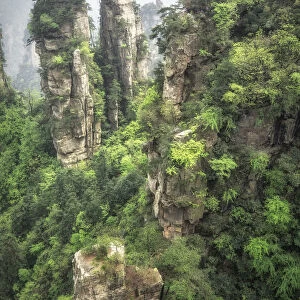 the steep cliffs of Yellow Stone Village, zhangjiajie national forest park, Hunan, China