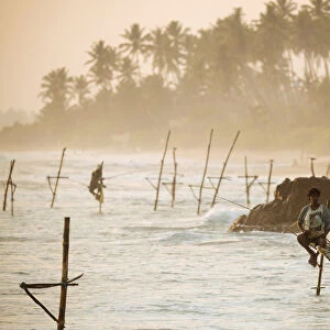 Stilt Fishermen at dusk, Weligama, South Coast, Sri Lanka, Asia