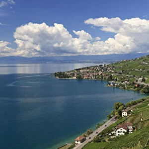 Heritage Sites Glass Frame Collection: Lavaux, Vineyard Terraces
