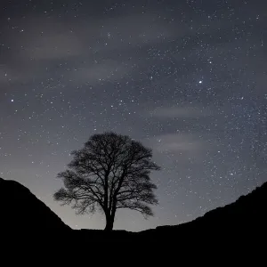 Sycamore Gap, Hadrians Wall, Northumberland, England