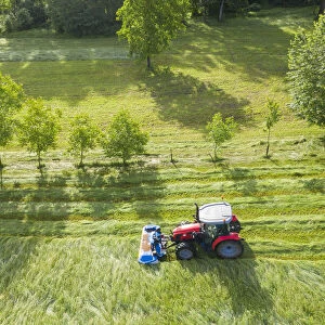 tractor in field cutting grass for hay, Valtellina, Sondrio Province, Lombardy, Italy