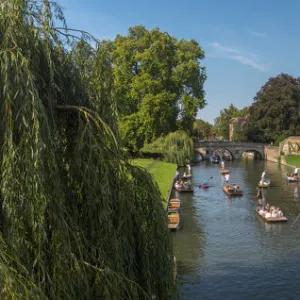 UK, England, Cambridgeshire, Cambridge, River Cam, Kings College, Punting