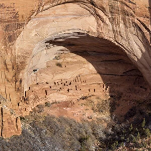 USA, Arizona, Navajo National Monument, Betatakin Ruins
