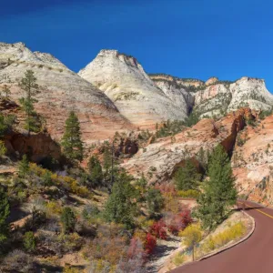 USA, Utah, Zion National Park, Highway 9, Zion Park Boulevard