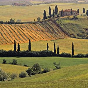 Val d Orcia