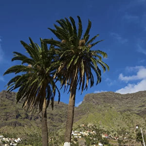 Valle Gran Rey, La Gomera, Canary Islands, Spain