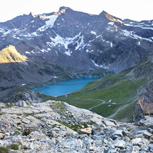 View of Agnel Lake from Colle del Nivolet with Ibex in foreground