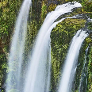 Waterfall - New Zealand, North Island, Northland, Whangarei, Whangarei, Whangarei Falls