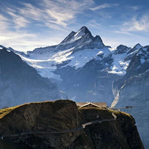 Wetterhorn & Schreckhorn Viewed From FIRST, Grindelwald, Bernese Oberland, Switzerland