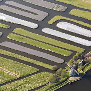 Windmill & Polder or re-claimed lands, North Holland, Netherlands
