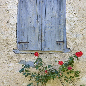 Window Shutters & Roses, Roquefixade, Ariege, Midi-Pyrenees, France