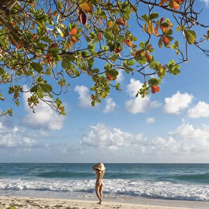 Woman with hat walks on waterfront of Miami Beach, Barbados Island, Lesser Antilles