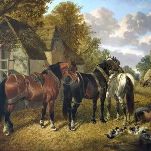 Ready for the Plough Herring Print - Oil on Canvas Animal Scene Ready for the Plough Herring Print - Oil on Canvas Animal Scene