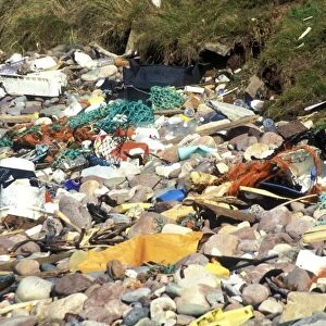 Litter washed up on Freshwater West, Pembrokeshire (rr)