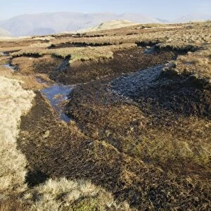 peat deposits in the lake district UK