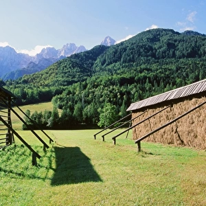 Traditional hay drying racks in the Triglav National Park in Slovenia