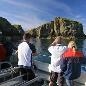 Wildlife adventure boat trip Ramsey Island, Pembrokeshire, Wales, UK. (RR)