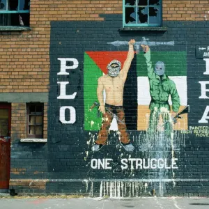 Belfast Mural Print