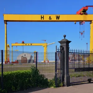 Samson and Goliath Cranes Print