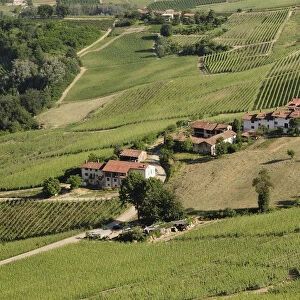 Italy, Piedmont, Langhe, views across landscape of Langhe region from Al Morro