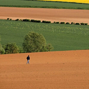 A farmer walks in his field in Avesnes-les-Aubert near Cambrai