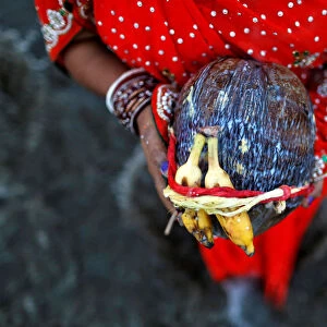 A Hindu devotee holds offerings as she worships the rising sun while standing in the