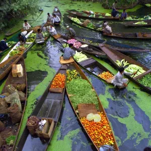 Print of Kashmiri vegetable sellers on Dal Lake Print of Kashmiri vegetable sellers on Dal Lake