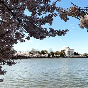 The Jefferson Memorial in Washington is pictured with the Tidal Basin