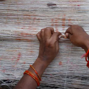 A married Hindu woman ties cotton thread around a Banyan tree in Ahmedabad