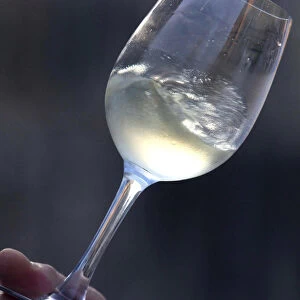 Reuters Collection: Prosecco