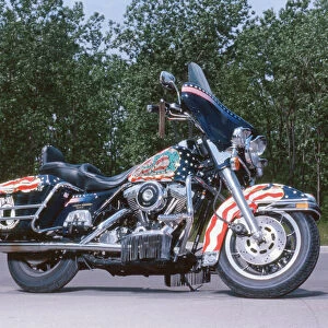 Harley Davidson Customised Police Special FLHTP