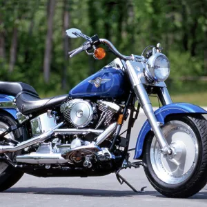 Harley davidson hot sale fatboy blue