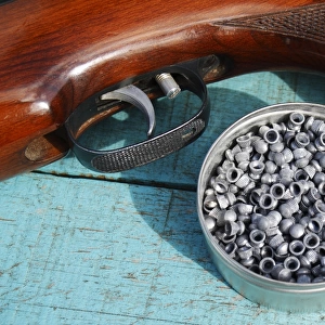 22 air rifle pellets in tin beside air rifle, Bacton, Suffolk, England, April